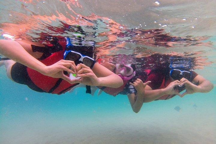 Gold Coast Kayaking & Snorkelling Tour (2.5 Hours)