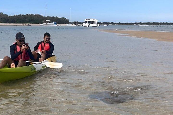 Gold Coast Kayaking & Snorkelling Tour (2.5 Hours)