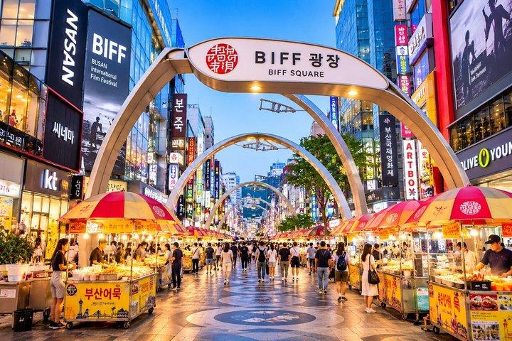 Busan Cruise Layover: Easy-Paced Highlights Tour(Max Guest 10pax)