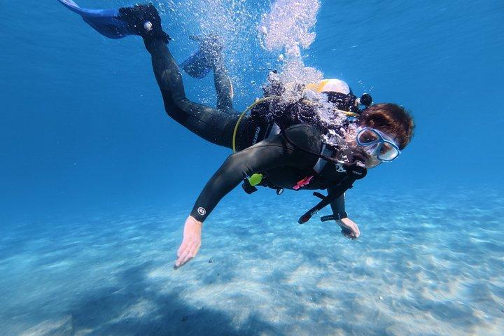 Private Beginner Try Dive with Collection and Photos