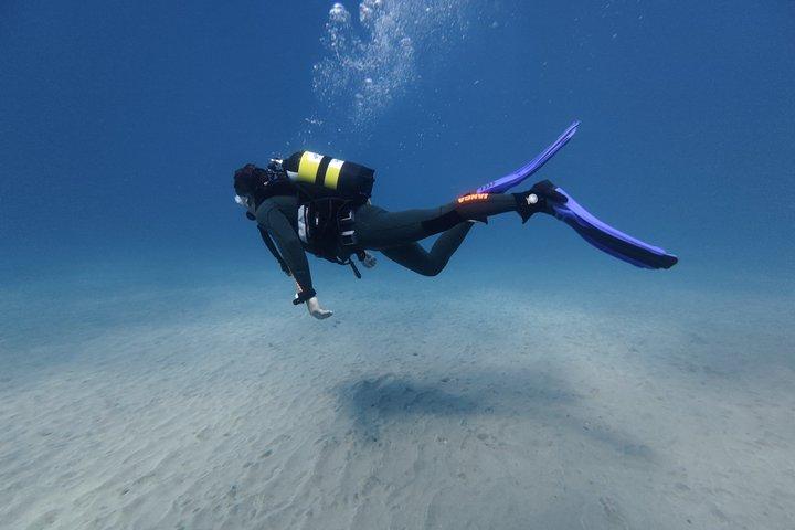 Private Beginner Try Dive with Collection and Photos