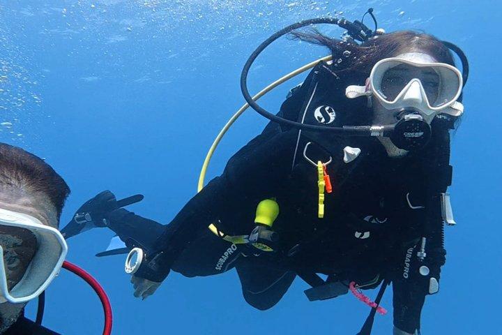 Tenerife PADI Discover Scuba Diving with 2 Dives and Photos
