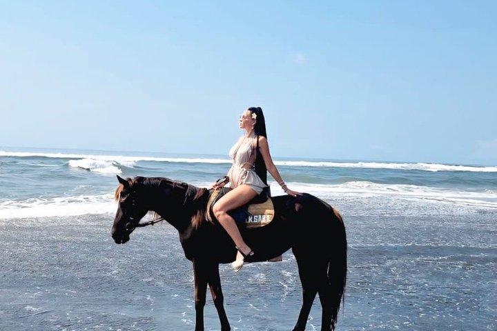バリ島乗馬、滝、棚田、昼食-オールインクルーシブ