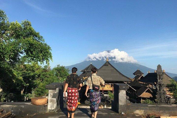 Private Custom Tour with Local Driver 10 Hours