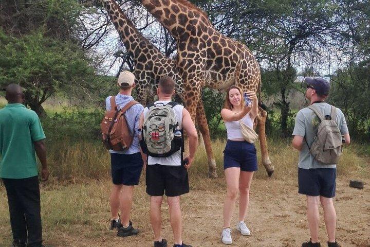 Mombasa Cultural and Wildlife Experience