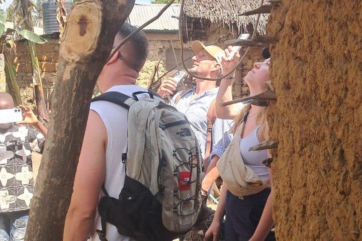 Mombasa Cultural and Wildlife Experience