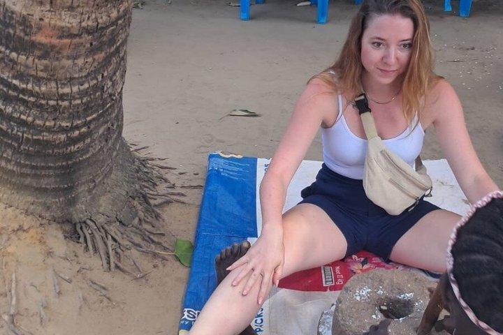 Mombasa Cultural and Wildlife Experience