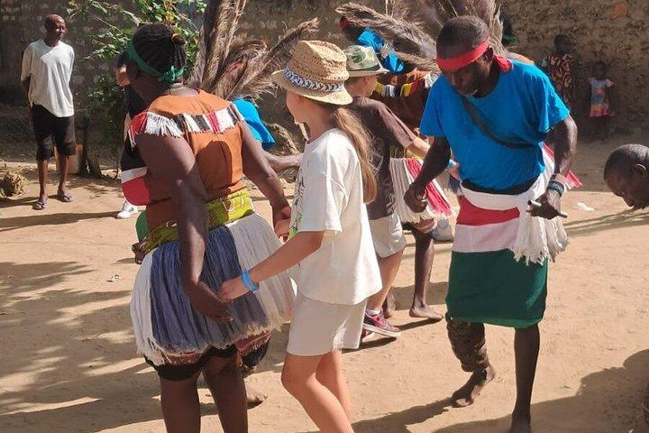 Mombasa Cultural and Wildlife Experience