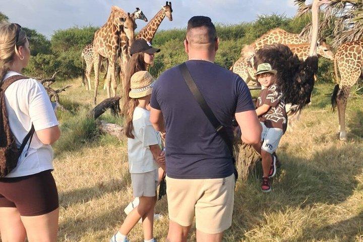 Mombasa Cultural and Wildlife Experience