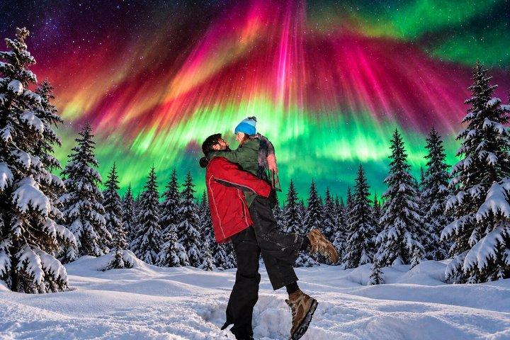 Rovaniemi: 100% Money-Back Guarantee Aurora Tour + Free Photos