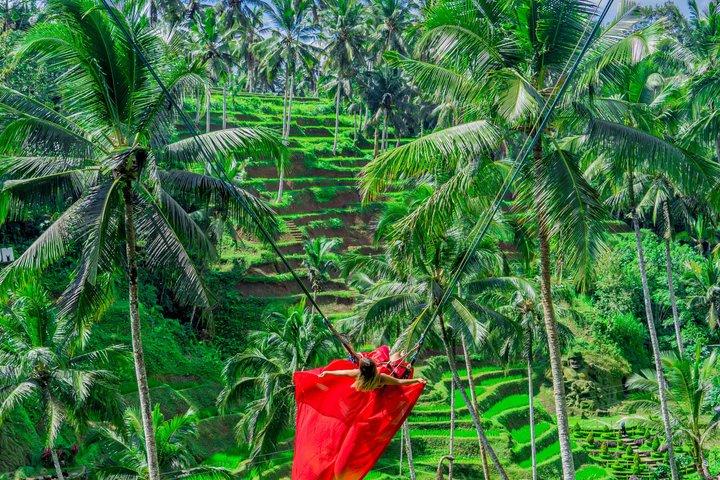 Alas Harum Bali Entry Ticket