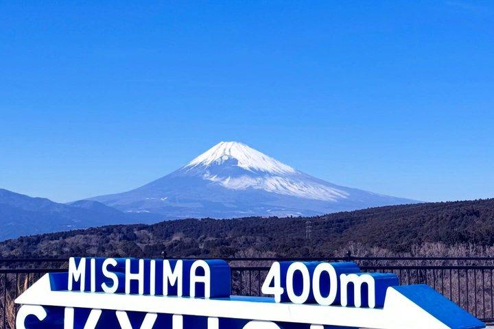 東京発 富士山・箱根プライベート日帰りツアー（ホテル送迎付き）