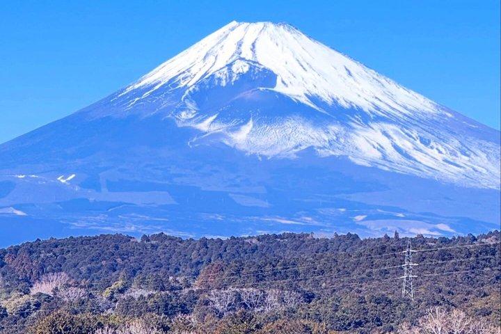 東京発 富士山・箱根プライベート日帰りツアー（ホテル送迎付き）