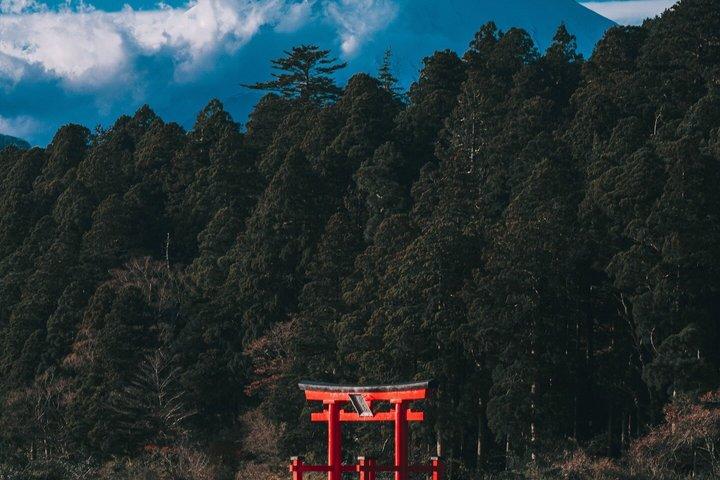 東京発 富士山・箱根プライベート日帰りツアー（ホテル送迎付き）