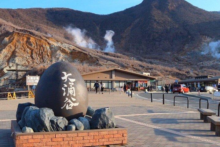 東京発 富士山・箱根プライベート日帰りツアー（ホテル送迎付き）