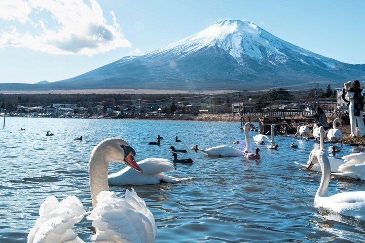東京発 富士山・箱根プライベート日帰りツアー（ホテル送迎付き）