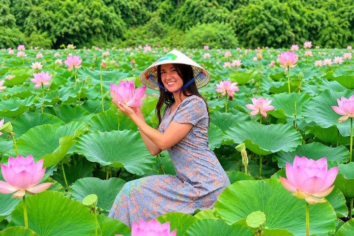 豪華なニンビン：ハノイ発ホアルー - ムア洞窟 - タムコック日帰りツアー