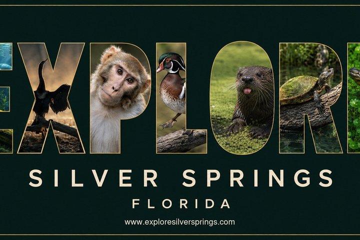 シルバー・スプリングスでのガイド付き自然・野生動物カヤックツアー