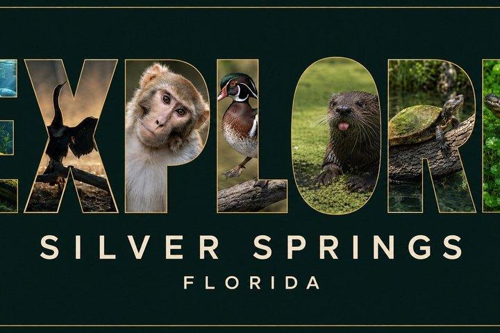 シルバー・スプリングスでのガイド付き自然・野生動物カヤックツアー