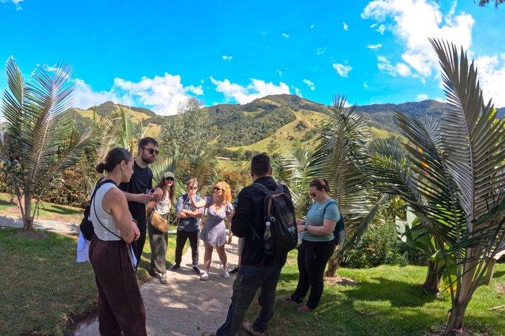 Privat rundtur till Salento, Cocora Valley och Filandia