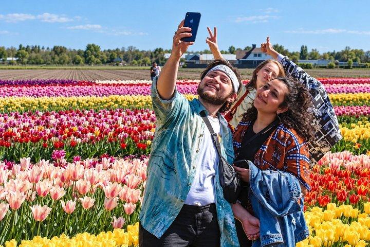 アムステルダム ケイクンホフ チューリップ体験 日帰り旅行（フレキシブル往復）