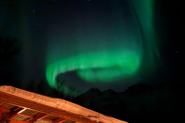 Northern Lights Tour, Tromso, Local Guide, Private Basecamp