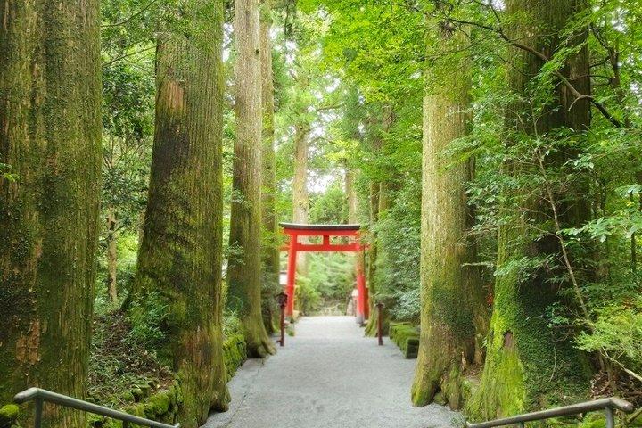 東京発プライベート箱根ツアー：お城、神社、温泉