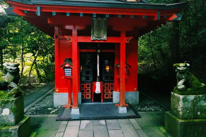 東京発プライベート箱根ツアー：お城、神社、温泉