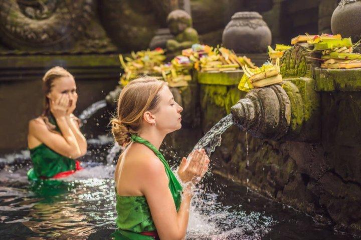 Ubud Adventure All Inclusive Private Day Tour