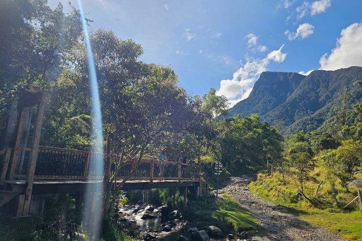 Rota dos Beija-flores e Trilhas em Cocora a partir de Salento