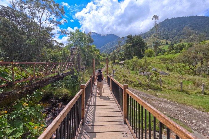 Rota dos Beija-flores e Trilhas em Cocora a partir de Salento
