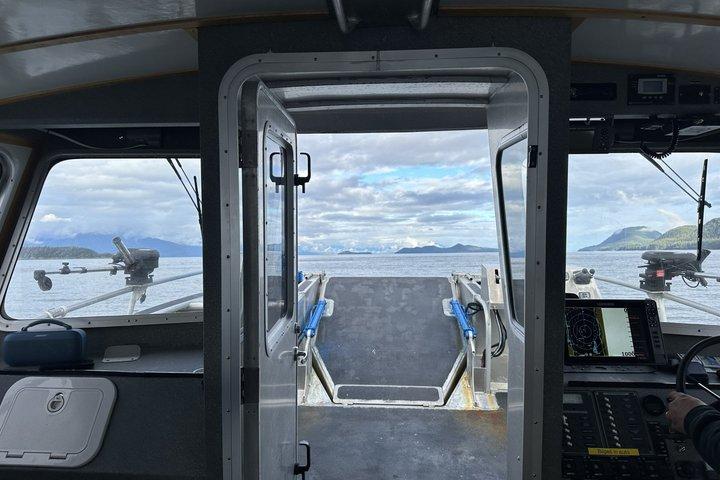 Private 6-Hour Juneau Whale Watching and Custom Sightseeing Tour