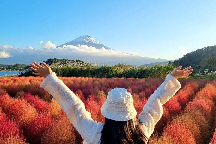 東京発 富士山・箱根プライベート日帰りツアー（ホテル送迎付き）