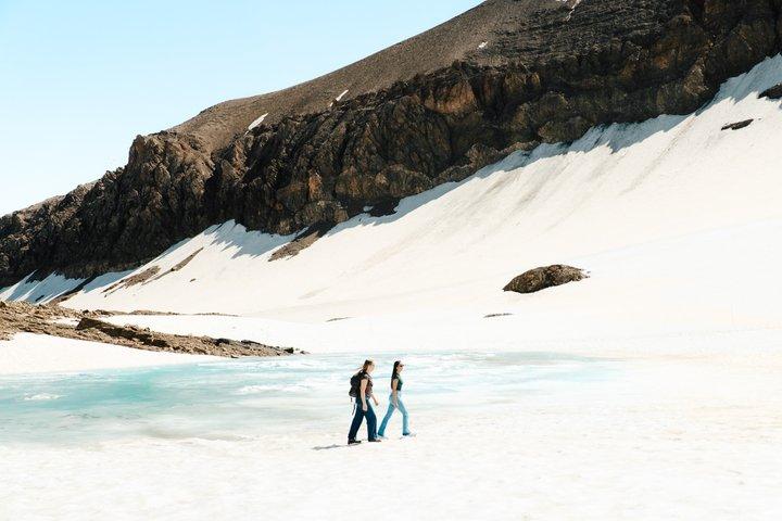 Day trip to Glacier 3000 - high Level experience- from Montreux