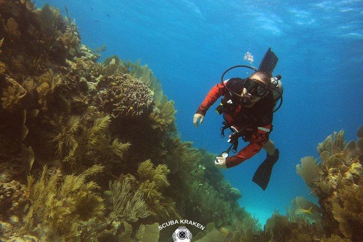 Scuba Diving Adventure in Puerto Morelos 2 Tank Experience