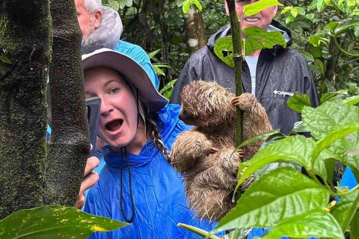 Sloths, apor och vattenfall erfarenhet
