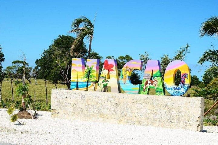 Horseback Ride in Punta Cana with Macao Coast Views