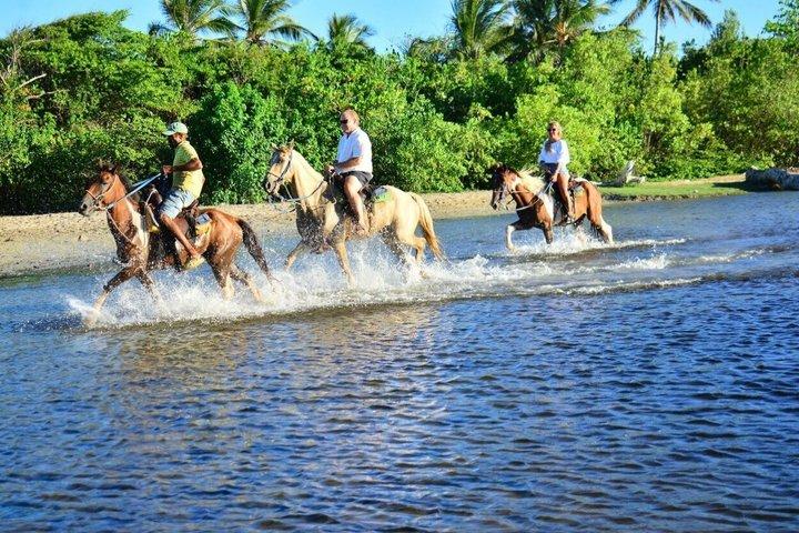 Horseback Ride in Punta Cana with Macao Coast Views