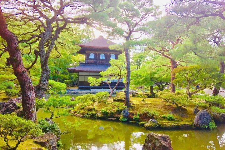 京都の銀閣寺を巡る3時間のプライベートガイドツアー