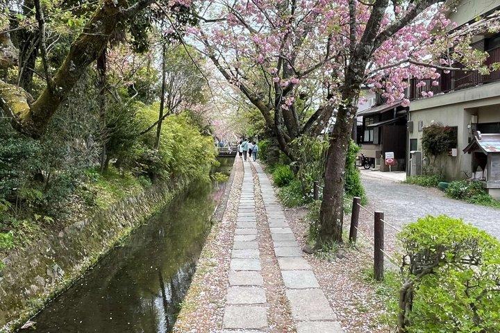 京都の銀閣寺を巡る3時間のプライベートガイドツアー