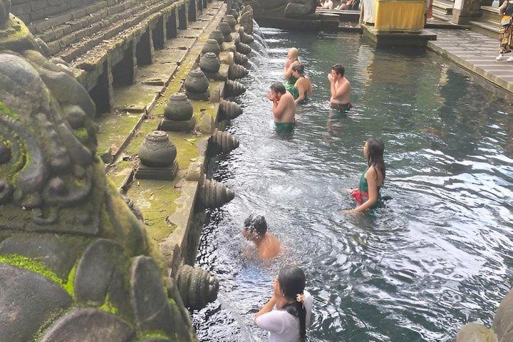 ウブドの滝、聖なる泉の寺院と棚田プライベートツアー