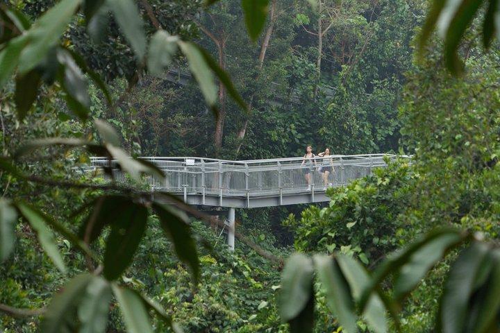マウント フェーバー、ヘンダーソン ウェーブ、サザン リッジ ツアー