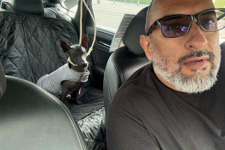 Private Driver in Mexico City by Day & Pet-Friendly