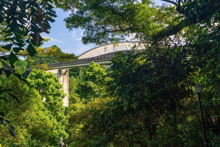 マウント フェーバー、ヘンダーソン ウェーブ、サザン リッジ ツアー