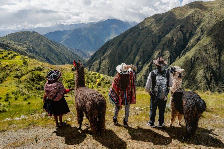 Passeggiata con lama e alpaca a Chinchero e pranzo