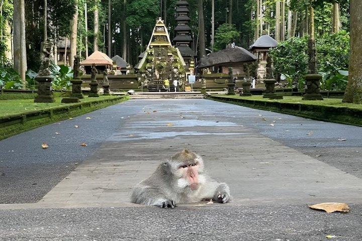 ゴールデンアワーの旅:サンゲ猴林からタナロットの夕暮れまで