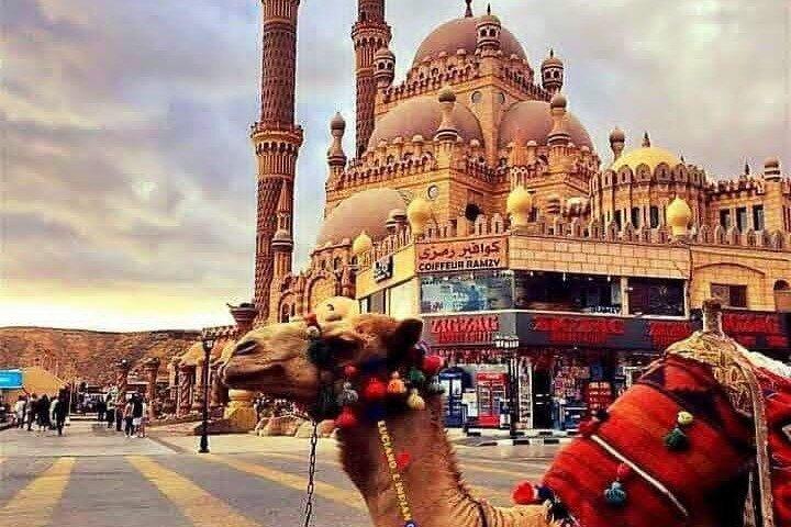 Discover Sharm El Sheikh city tour