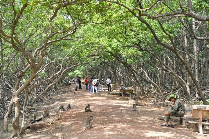 缶ジオ美しい自然マングローブの森日帰り旅行
