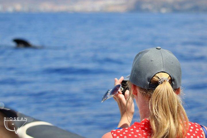 Whale Watching en Marine Science Tour