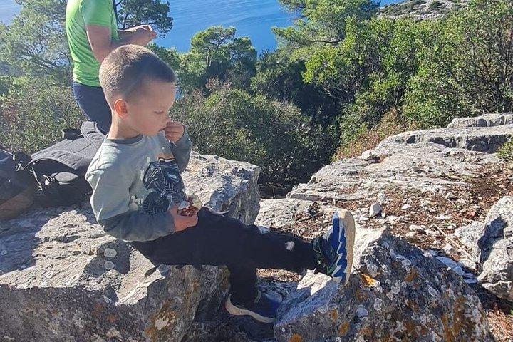 ザダル プライベートボートツアー 島ハイキングと地元ランチ